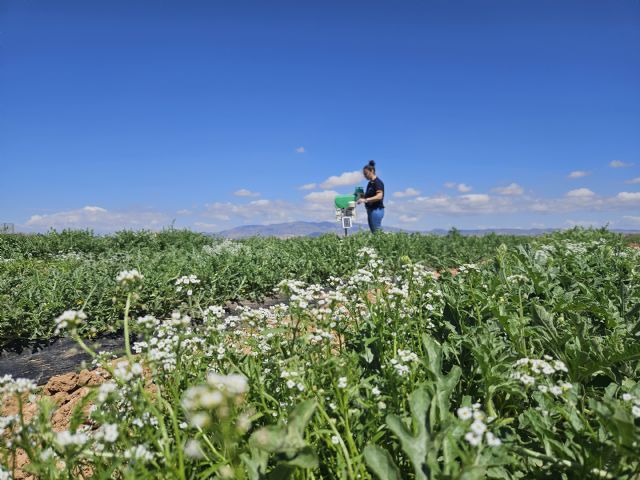 Productores murcianos crean una Bio-red de Monitorización y Predicción de plagas - 1, Foto 1