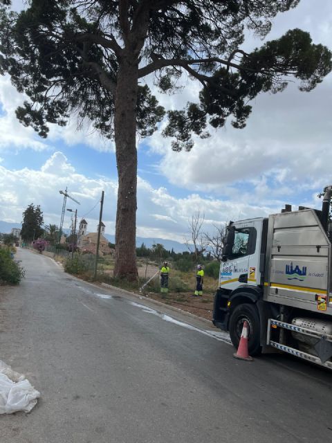 Un nuevo riego de emergencia aporta cerca de 14.000 litros de agua a los pinos centenarios de Churra - 1, Foto 1