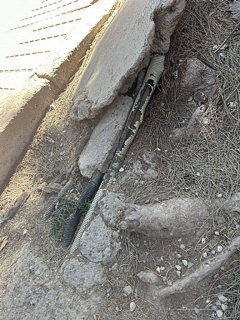 El colegio de Corvera necesita mantenimiento intensivo para recuperar unas instalaciones dignas - 2, Foto 2