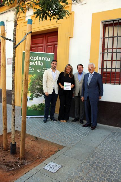 Replanta Sevilla reconoce a Helvetia, Migasa y Llopis por su apoyo al arbolado urbano - 1, Foto 1