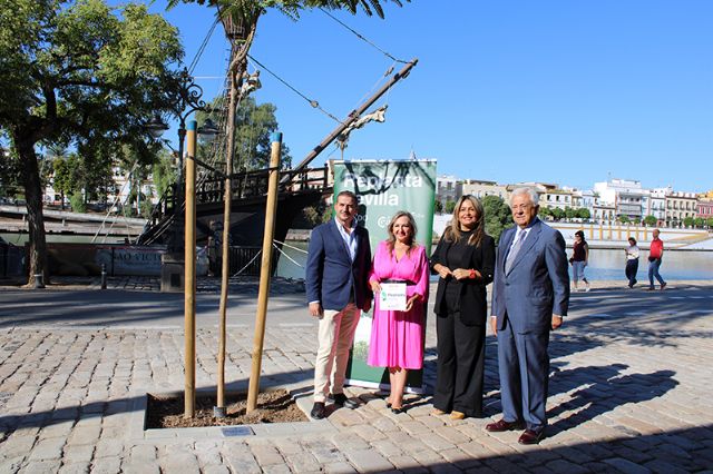Replanta Sevilla reconoce a Helvetia, Migasa y Llopis por su apoyo al arbolado urbano - 2, Foto 2