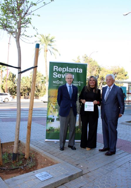 Replanta Sevilla reconoce a Helvetia, Migasa y Llopis por su apoyo al arbolado urbano - 3, Foto 3