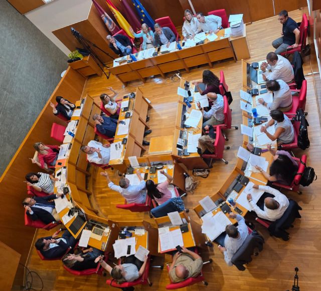 El Pleno rechaza la imposición del catalán como lengua obligatoria en los servicios de atención al cliente de las empresas - 1, Foto 1