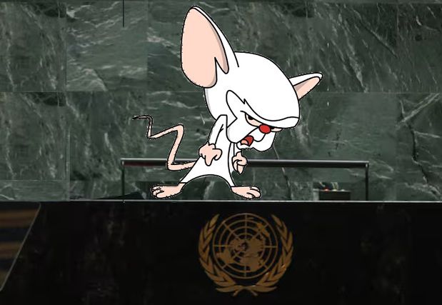 Falta Cerebro en la ONU - 1, Foto 1