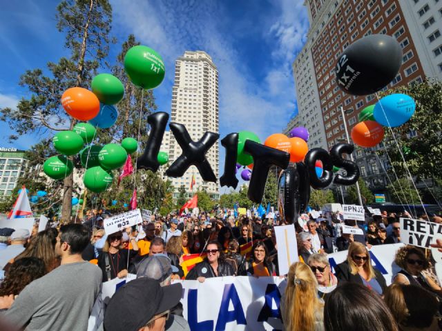 El Congreso ante su prueba: 30.000 profesionales exigen ya la Pasarela 1x1 - 1, Foto 1