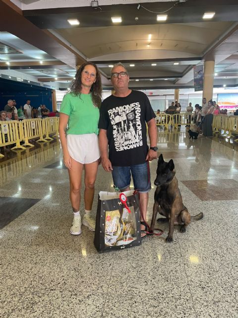 Un gran número de perros participan en el Concurso Canino de Aguiproan - 2, Foto 2