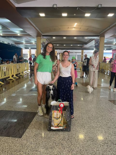 Un gran número de perros participan en el Concurso Canino de Aguiproan - 3, Foto 3