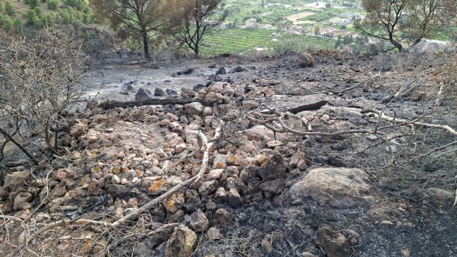 El Ayuntamiento confirma afecciones del fuego en el Castillo de Los Garres tras la denuncia de Huermur - 2, Foto 2