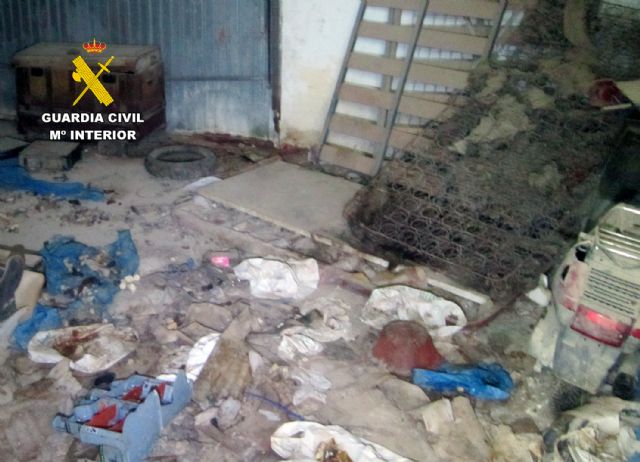 La Guardia Civil investiga en Bullas a la propietaria de un perro por delito de abandono animal - 2, Foto 2