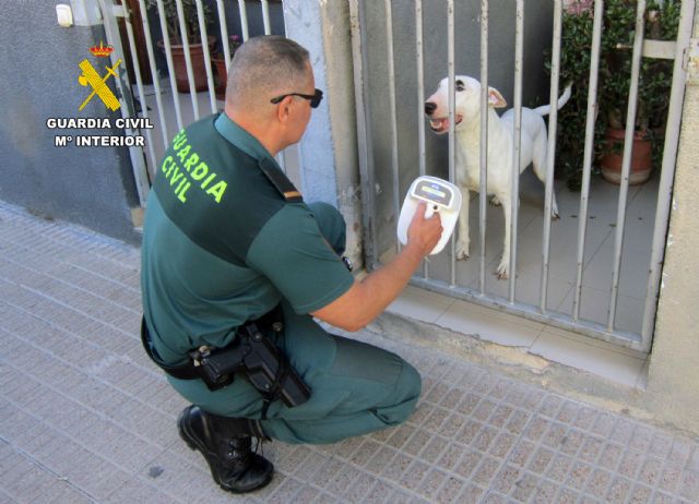 La Guardia Civil investiga en Bullas a la propietaria de un perro por delito de abandono animal - 3, Foto 3