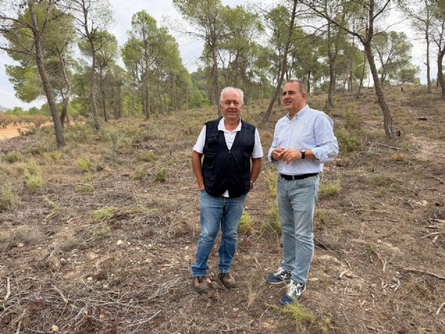 Un proyecto del Gobierno regional de aprovechamiento de la biomasa forestal genera empleo para combatir la despoblaci�n