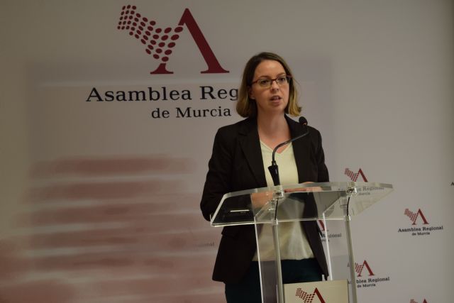 El PP solicita regular el ejercicio de los musicoterapeutas para evitar mala praxis - 1, Foto 1