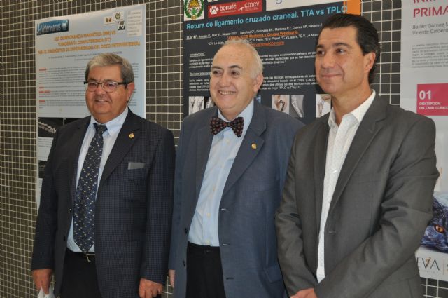 Los veterinarios murcianos se ponen al día en nuevas técnicas de tratamiento para nuestras mascotas - 2, Foto 2