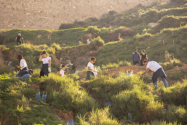 El Bosque Repsol en el Cerro de los Moros sigue creciendo con la plantación de 1.000 nuevas especies - 1, Foto 1