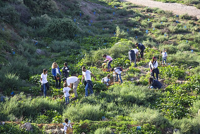 El Bosque Repsol en el Cerro de los Moros sigue creciendo con la plantación de 1.000 nuevas especies - 2, Foto 2