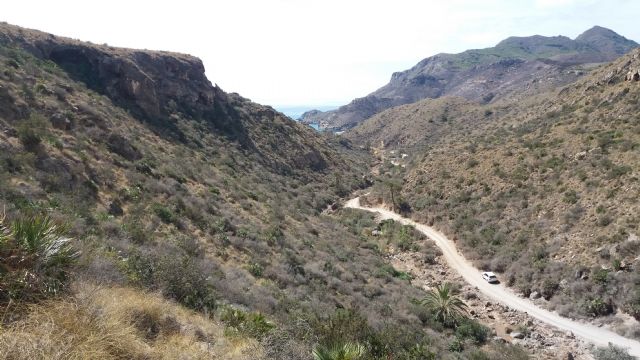 Las aves son actores importantes en la restauración de la vegetación mediterránea, según una investigación de la Universidad de Murcia - 2, Foto 2