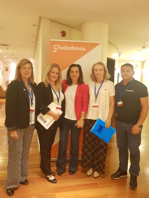 SAE avanza en sus revindicaciones y formará parte de la comisión técnica que nombrará Ciudadanos - 1, Foto 1