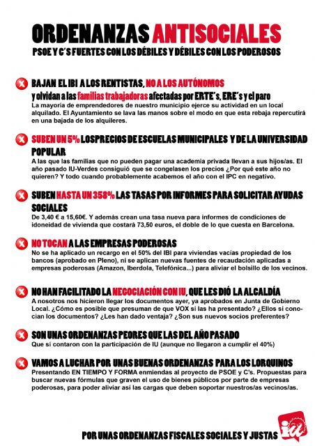 IU-Verdes se opone a las ordenanzas antisociales de PSOE y C's y tratará de enmendarlas - 2, Foto 2