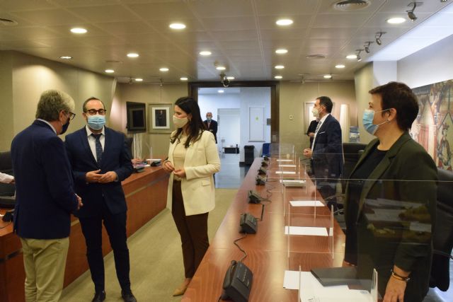 Inmaculada Lardín: El sector de la Cultura se siente abandonado por el Gobierno de España, mientras que en la Región se le ha apoyado con el Plan CREA - 2, Foto 2