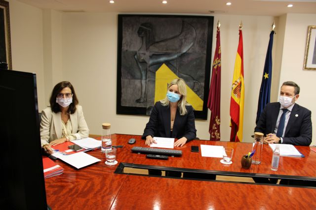 Martínez Vidal defiende en la Conferencia de Regiones Periféricas Marítimas la importancia de garantizar la accesibilidad territorial en las regiones europeas - 1, Foto 1