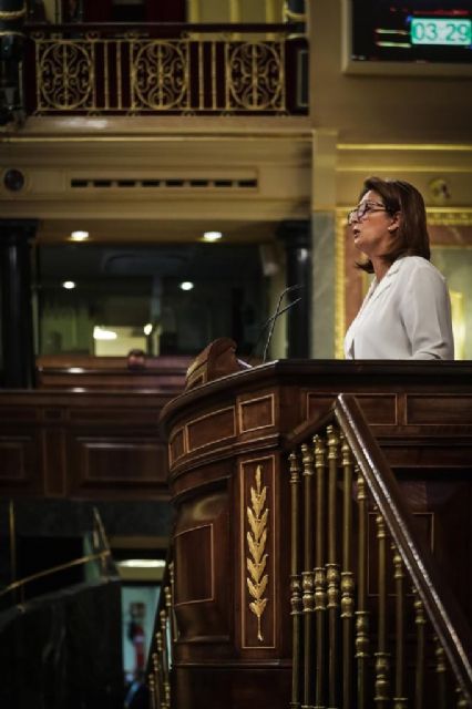 Borrego asegura que las palabras y los hechos de Podemos sobre el aforamiento se contradicen: - 1, Foto 1