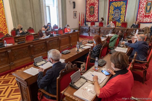 El pleno aprueba tres declaraciones institucionales para mejorar la accesibilidad a Navantia, a favor de la sede de la UIMP y de los derechos de la infancia - 1, Foto 1