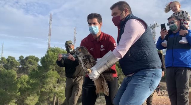 La Comunidad libera dos búhos reales en El Valle tras someterse a rehabilitación en el Centro de Recuperación de Fauna - 1, Foto 1