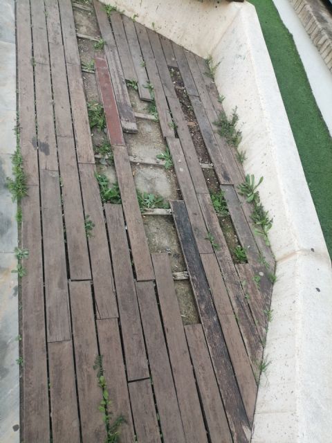 El PP de Las Torres de Cotillas lleva meses denunciando el mal estado de los parques - 3, Foto 3