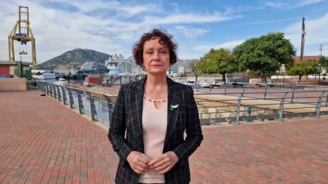 Podemos considera insuficiente el protocolo de cooperación ante emergencias del Gobierno regional - 1, Foto 1