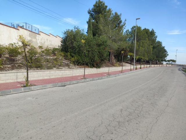 La pedanía de Barqueros ya cuenta con una acera renovada y más accesible con una inversión de más de 50.000 € - 4, Foto 4