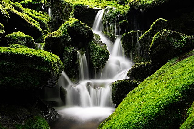 En Murcia se contabilizan 55.000 familias monoparentales, el 80% encabezadas por una mujer - 1, Foto 1
