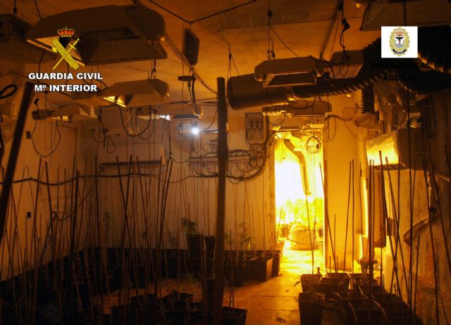 La Guardia Civil desmantela en Águilas dos invernaderos clandestinos con más de 800 plantas de marihuana - 1, Foto 1