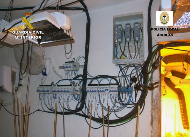 La Guardia Civil desmantela en Águilas dos invernaderos clandestinos con más de 800 plantas de marihuana - 2, Foto 2