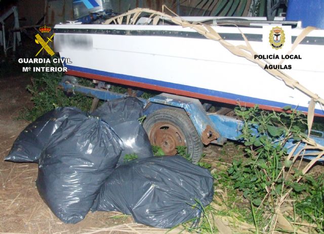 La Guardia Civil desmantela en Águilas dos invernaderos clandestinos con más de 800 plantas de marihuana - 4, Foto 4