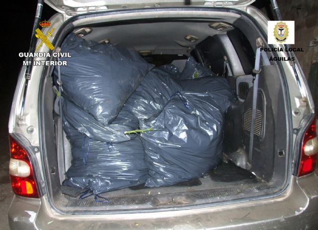 La Guardia Civil desmantela en Águilas dos invernaderos clandestinos con más de 800 plantas de marihuana - 5, Foto 5