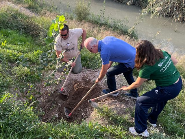 El Ayuntamiento refuerza su compromiso con la recuperación del Río Segura con nuevas plantaciones en Barriomar - 1, Foto 1