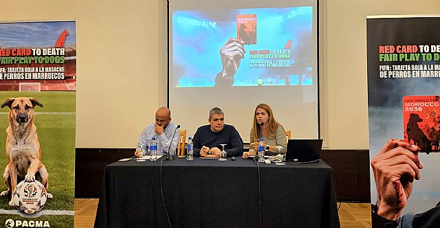PACMA lanza una campaña internacional contra la matanza de perros en Marruecos - 2, Foto 2
