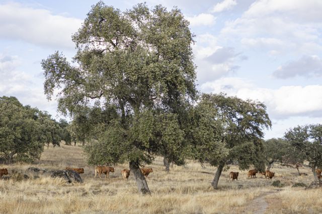 El campo ecológico presume de triple impacto: económico, social y medioambiental - 1, Foto 1
