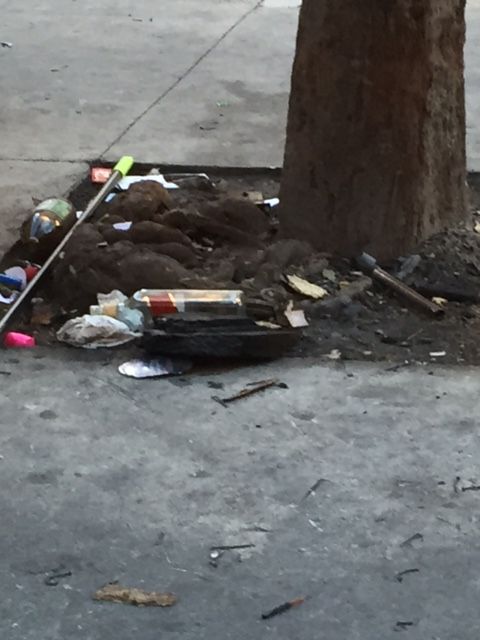 El PSOE acusa a Ballesta de no querer solucionar el problema social de fondo en La Fama - 4, Foto 4