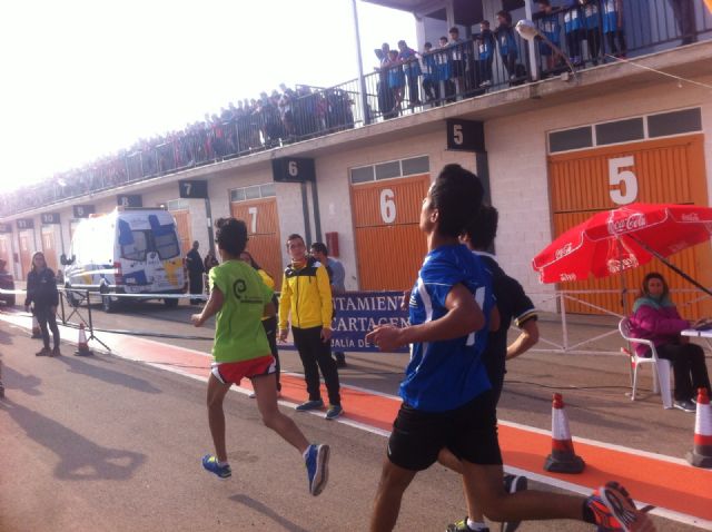 Medio centenar de colegios competiran en el Cross Escolar - 1, Foto 1