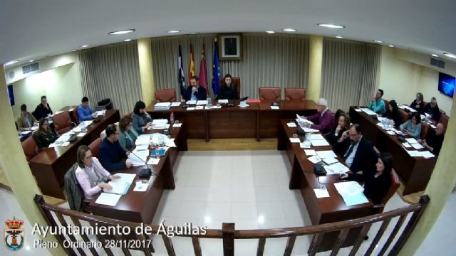 El Pleno aprueba por unanimidad el reglamento del Consejo de Comercio Local de Águilas - 1, Foto 1