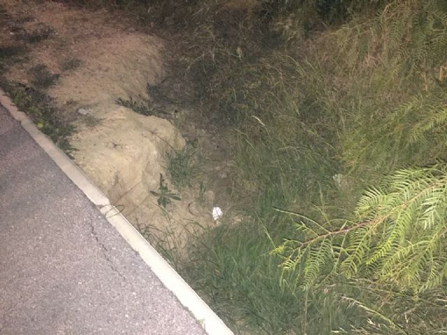 El PSOE pide al Equipo de Gobierno que priorice las obras en el campo de fútbol de Sangonera la Verde que usan a diario 200 niños - 3, Foto 3