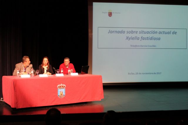 Los agricultores de Bullas se preocupan por la Xylella fastidiosa - 1, Foto 1