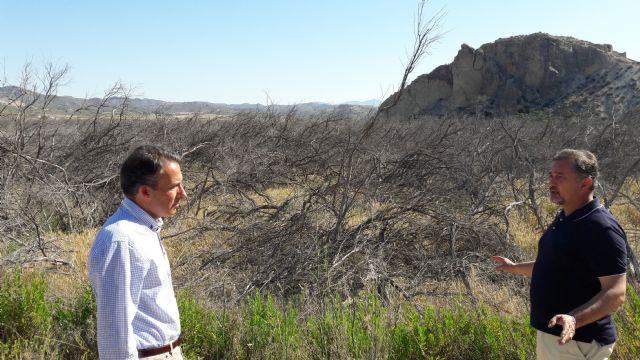 Fulgencio Gil: invito a la ministra a que venga y conozca el daño que provoca quitándonos el agua - 1, Foto 1