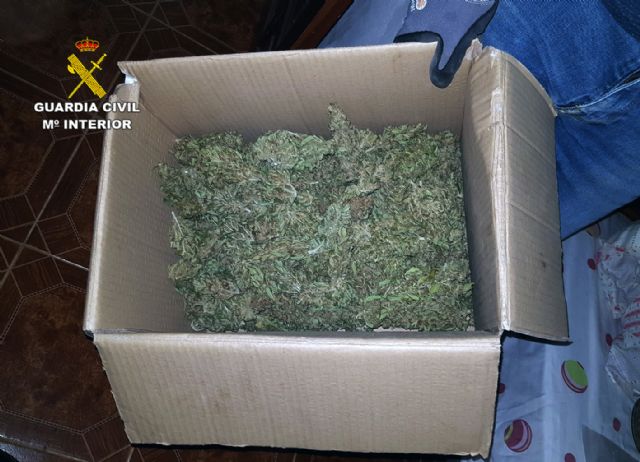 La Guardia Civil desmantela un peligroso clan familiar dedicado al cultivo y elaboración de droga - 1, Foto 1