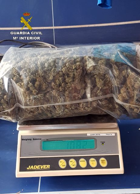 La Guardia Civil desmantela un peligroso clan familiar dedicado al cultivo y elaboración de droga - 5, Foto 5