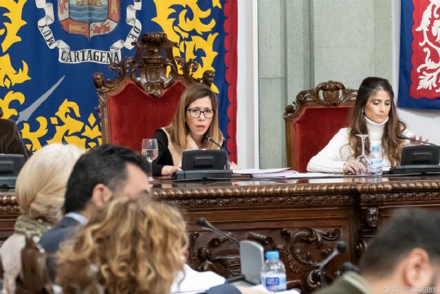 Pleno del Ayuntamiento apoya al sector náutico y pide facilitar el voto a los residentes europeos - 1, Foto 1