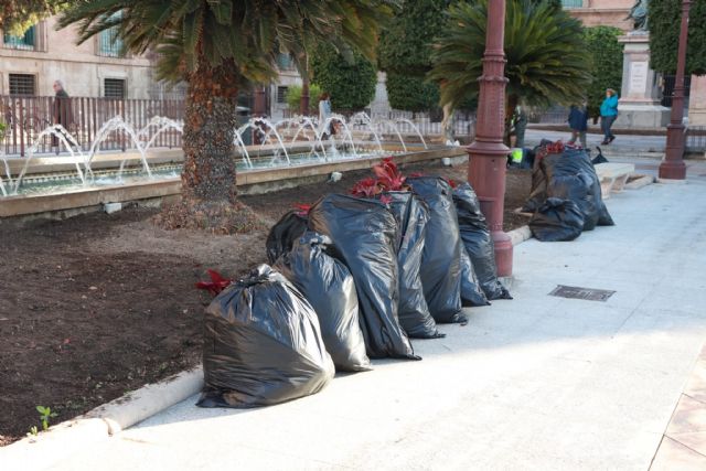 El PSOE acusa al PP de gastar miles de euros en flores que pocas semanas después tiran en buen estado a la basura - 3, Foto 3