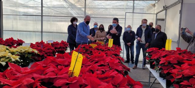 El consejero de Agricultura visita el vivero Barberet & Blanc y anima a los consumidores a comprar flor de pascua durante la Navidad - 1, Foto 1
