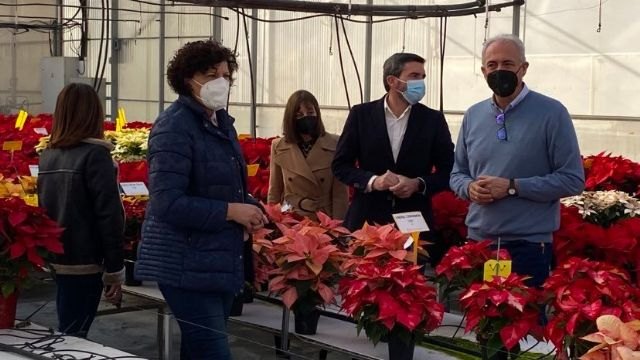 El nuevo vivero de alta tecnología de Barberet&Blanc producirá casi 90 millones de esquejes de solanáceas y creará cerca de 200 puestos de trabajo en Puerto Lumbreras - 2, Foto 2